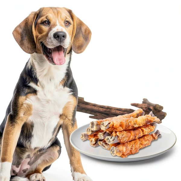 Pawant Chicken Wrapped Cod Skin Sticks Dog Dental Treats-4