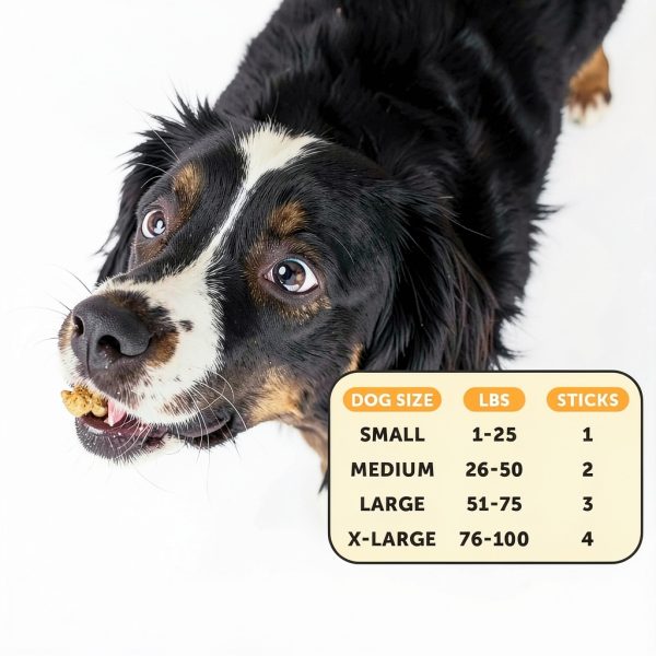 PetHonesty Allergy Support Dental Sticks for Dogs Immune-4