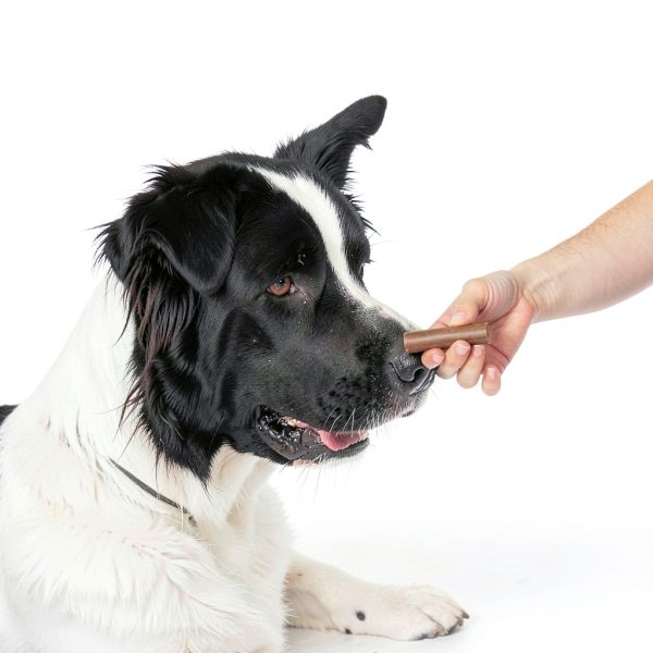 Dog Dental Sticks This Dogs Life Vet Formulated Clean-6