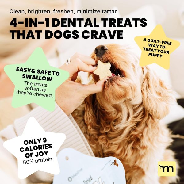 MalsiPree Dog Dental Chews Natural Breath Freshener Treats-2