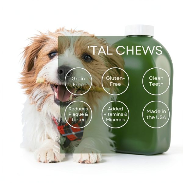 Kings Selection Dog Dental Sticks Natural Ingredients Plaque-1