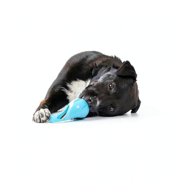 West Paw Dental Stick Dog Chew Parsley Mint Small Size-1