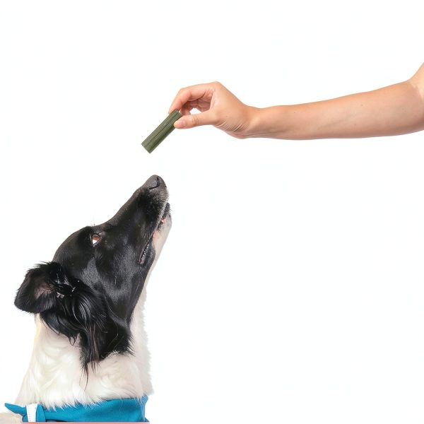Dog Dental Sticks This Dogs Life Vet Formulated Clean-1