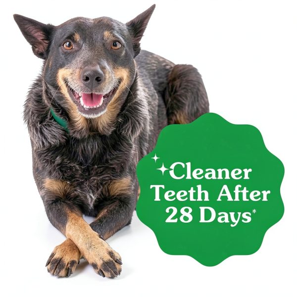 Greenies Dental Dog Treats Natural Teeth Cleaning Chews-3