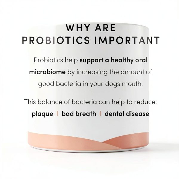 CRUMPS GROUP Dog Dental Sticks Probiotics Oyster Shells-5