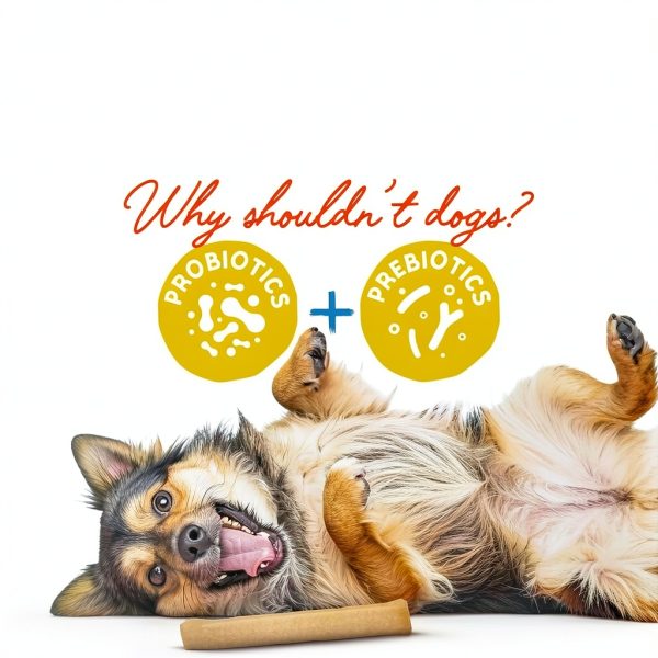 Himalayan Dog Chew Yogurt Sticks Natural Probiotics-2