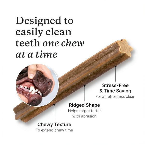 PetLab Co Dog Dental Sticks Prebiotic Teeth Cleaning Treats-5
